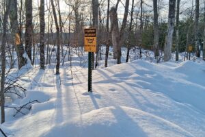 Northern Wisconsin Land For Sale Adjoining National Forest