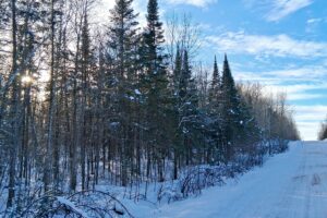 Wooded property near Winter, WI, with trail access, road frontage, and close to lakes and national forest.