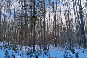 Wooded property near Winter, WI, with trail access, road frontage, and close to lakes and national forest.