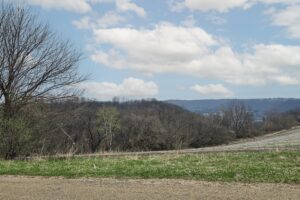 Wooded land for sale in Driftless Area of Southern Wisconsin