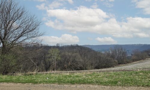 Wooded land for sale in Driftless Area of Southern Wisconsin
