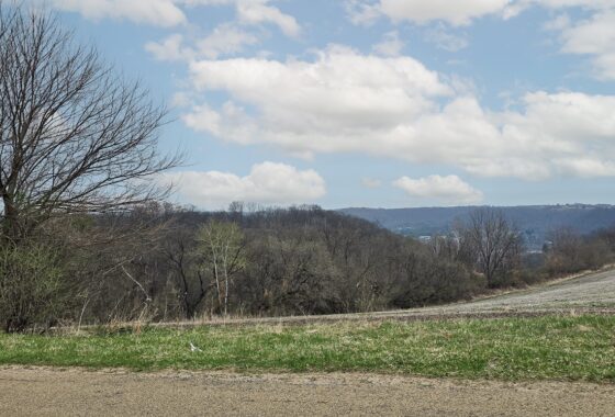 Wooded land for sale in Driftless Area of Southern Wisconsin