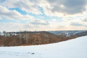 Wooded land for sale in Driftless Area of Southern Wisconsin