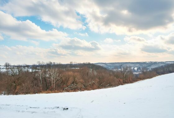 Wooded land for sale in Driftless Area of Southern Wisconsin