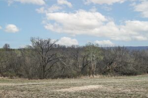 Wooded land for sale in Driftless Area of Southern Wisconsin