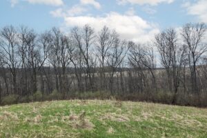 Wooded land for sale in Driftless Area of Southern Wisconsin