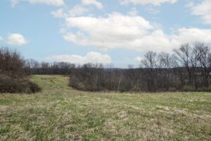 Wooded land for sale in Driftless Area of Southern Wisconsin