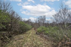 Wooded land for sale in Driftless Area of Southern Wisconsin