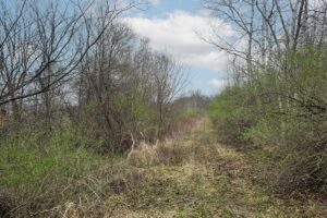 Wooded land for sale in Driftless Area of Southern Wisconsin