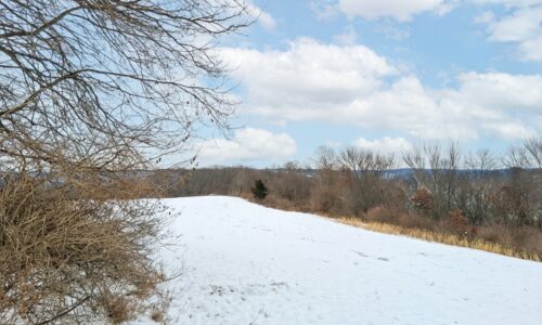 Wooded property for sale near Gays Mills, WI with scenic countryside views close to the Mississippi River