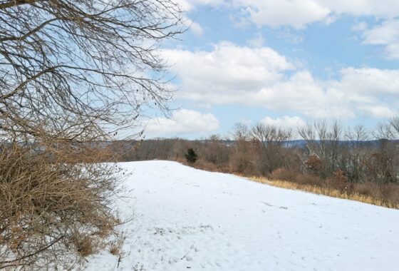 Wooded property for sale near Gays Mills, WI with scenic countryside views close to the Mississippi River