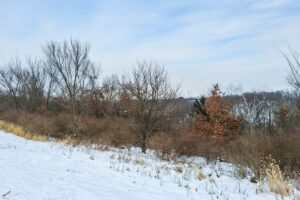 Wooded property for sale near Gays Mills, WI with scenic countryside views close to the Mississippi River