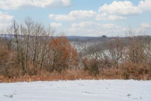 Wooded property for sale near Gays Mills, WI with scenic countryside views close to the Mississippi River