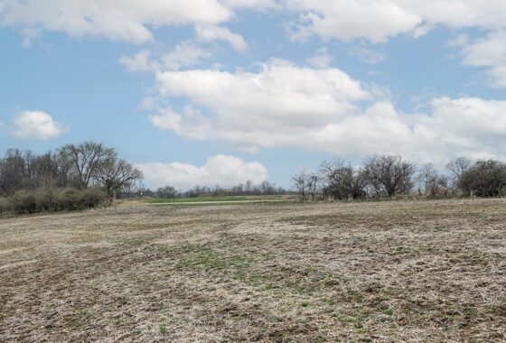 Guaranteed buildable wooded property for sale in Crawford County, WI with valley views near Gays Mills