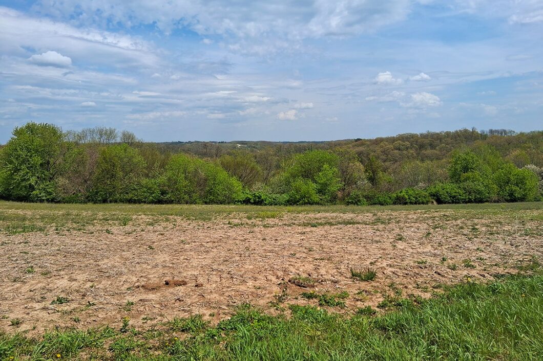 Guaranteed buildable wooded property for sale in Crawford County, WI with valley views near Gays Mills