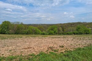 Guaranteed buildable wooded property for sale in Crawford County, WI with valley views near Gays Mills
