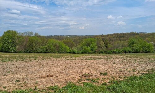 Guaranteed buildable wooded property for sale in Crawford County, WI with valley views near Gays Mills