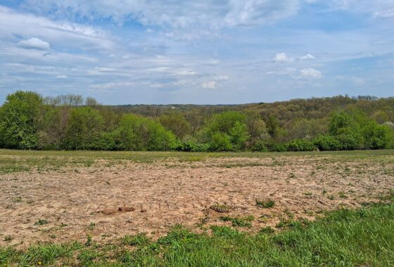 Guaranteed buildable wooded property for sale in Crawford County, WI with valley views near Gays Mills