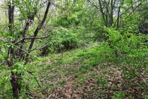 Guaranteed buildable wooded property for sale in Crawford County, WI with valley views near Gays Mills
