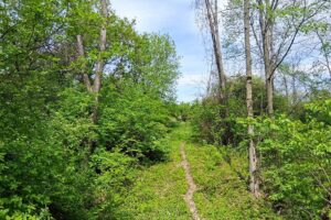 Guaranteed buildable wooded property for sale in Crawford County, WI with valley views near Gays Mills