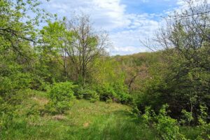Guaranteed buildable wooded property for sale in Crawford County, WI with valley views near Gays Mills