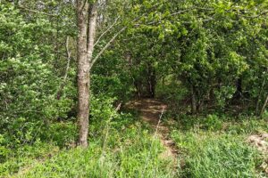 Guaranteed buildable wooded property for sale in Crawford County, WI with valley views near Gays Mills