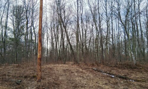 Public land and forest access near 2-acre property for sale in Washburn County WI