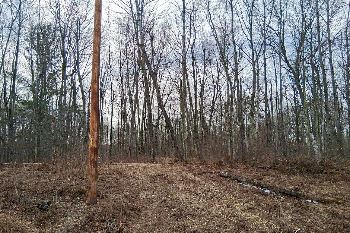 Public land and forest access near 2-acre property for sale in Washburn County WI