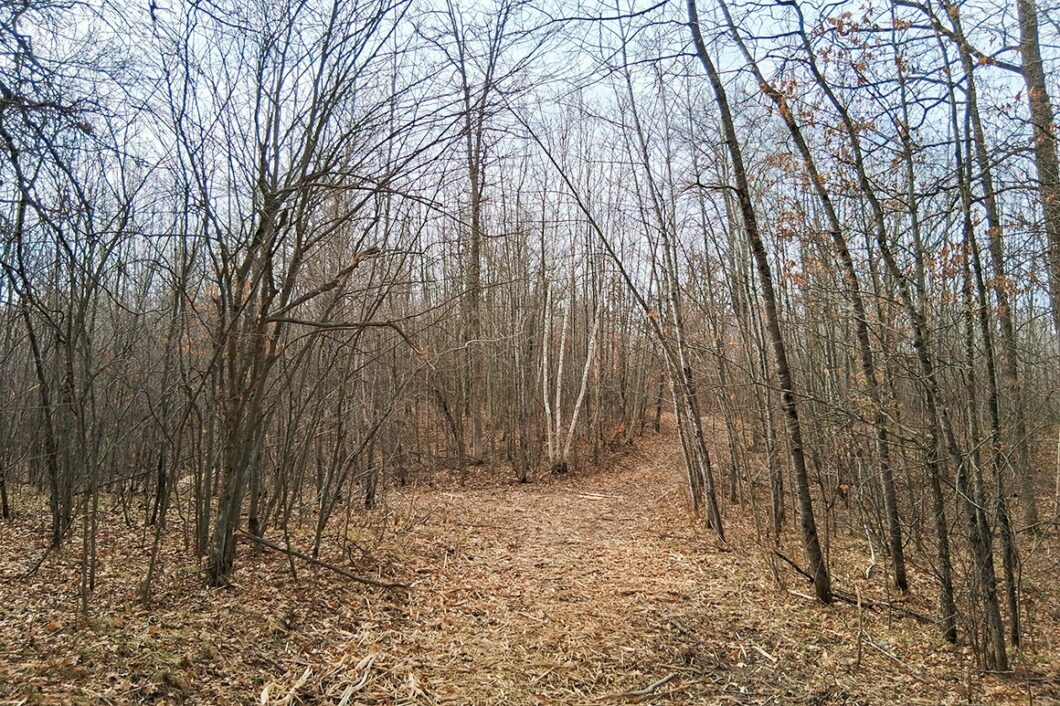 Namekagon River access from this 2.2-acre property for sale near Spooner WI