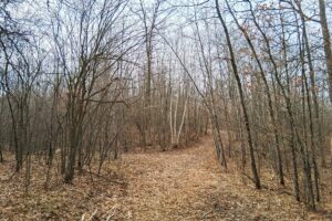 Namekagon River access from this 2.2-acre property for sale near Spooner WI
