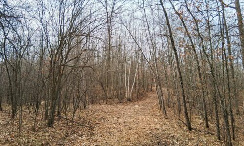 Namekagon River access from this 2.2-acre property for sale near Spooner WI
