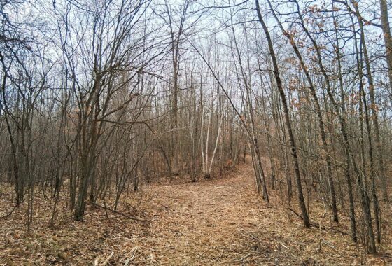 Namekagon River access from this 2.2-acre property for sale near Spooner WI