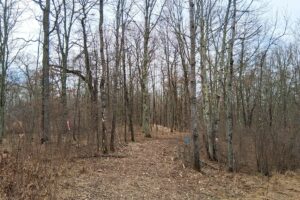 Namekagon River access from this 2.2-acre property for sale near Spooner WI