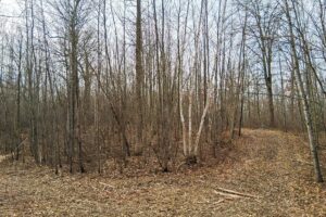 Namekagon River access from this 2.2-acre property for sale near Spooner WI