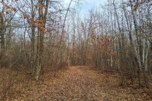 Namekagon River access from this 2.2-acre property for sale near Spooner WI