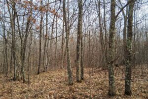Namekagon River access from this 2.2-acre property for sale near Spooner WI