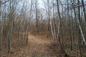 Namekagon River access from this 2.2-acre property for sale near Spooner WI