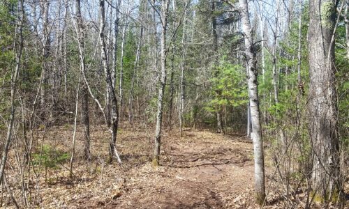 Acreage For Sale in Northern Wisconsin near Fishtrap Lake