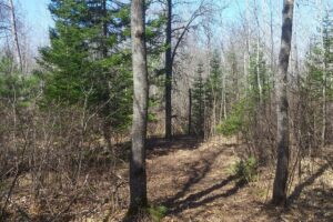 Acreage For Sale in Northern Wisconsin near Fishtrap Lake