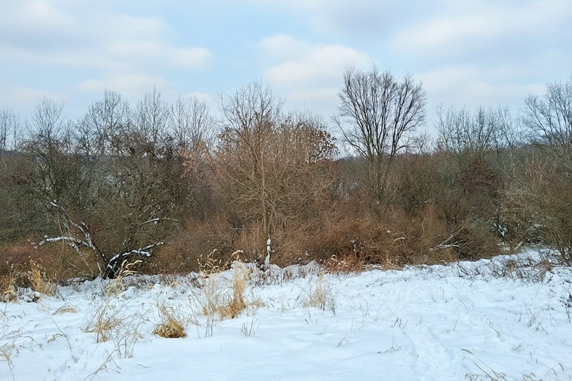 Southwest WI Land in Driftless Region!