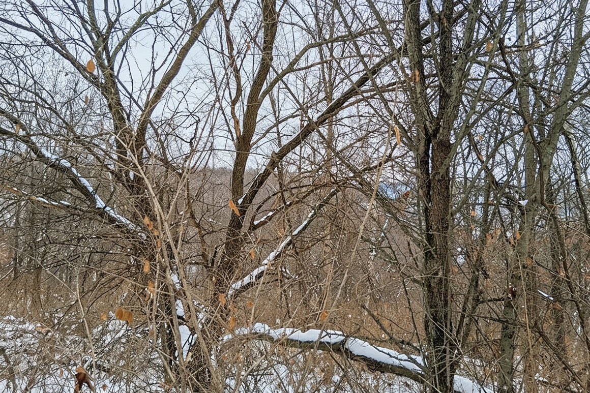 Southwest WI Land in Driftless Region!