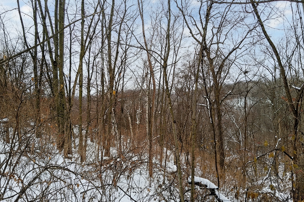 Southwest WI Land in Driftless Region!