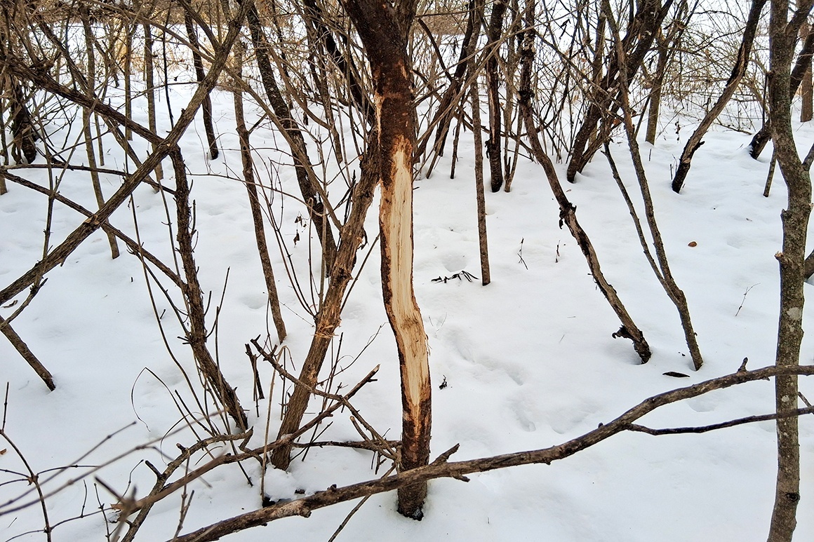 Southwest WI Land in Driftless Region!