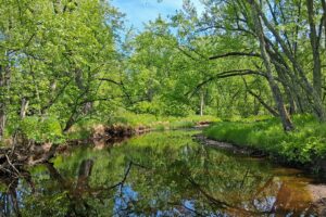 Wooded land with 2-BR cabin for sale on Somo River near Tomahawk, WI