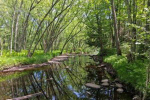 Wooded land with 2-BR cabin for sale on Somo River near Tomahawk, WI