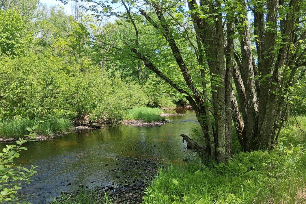 Lincoln County, WI wooded waterfront land for sale along the Somo River