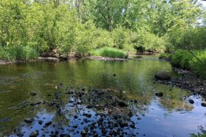 Lincoln County, WI wooded waterfront land for sale along the Somo River