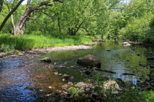 Lincoln County, WI wooded waterfront land for sale along the Somo River