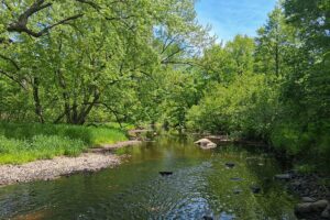 Lincoln County, WI wooded waterfront land for sale along the Somo River
