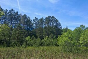 Lincoln County, WI wooded waterfront land for sale along the Somo River